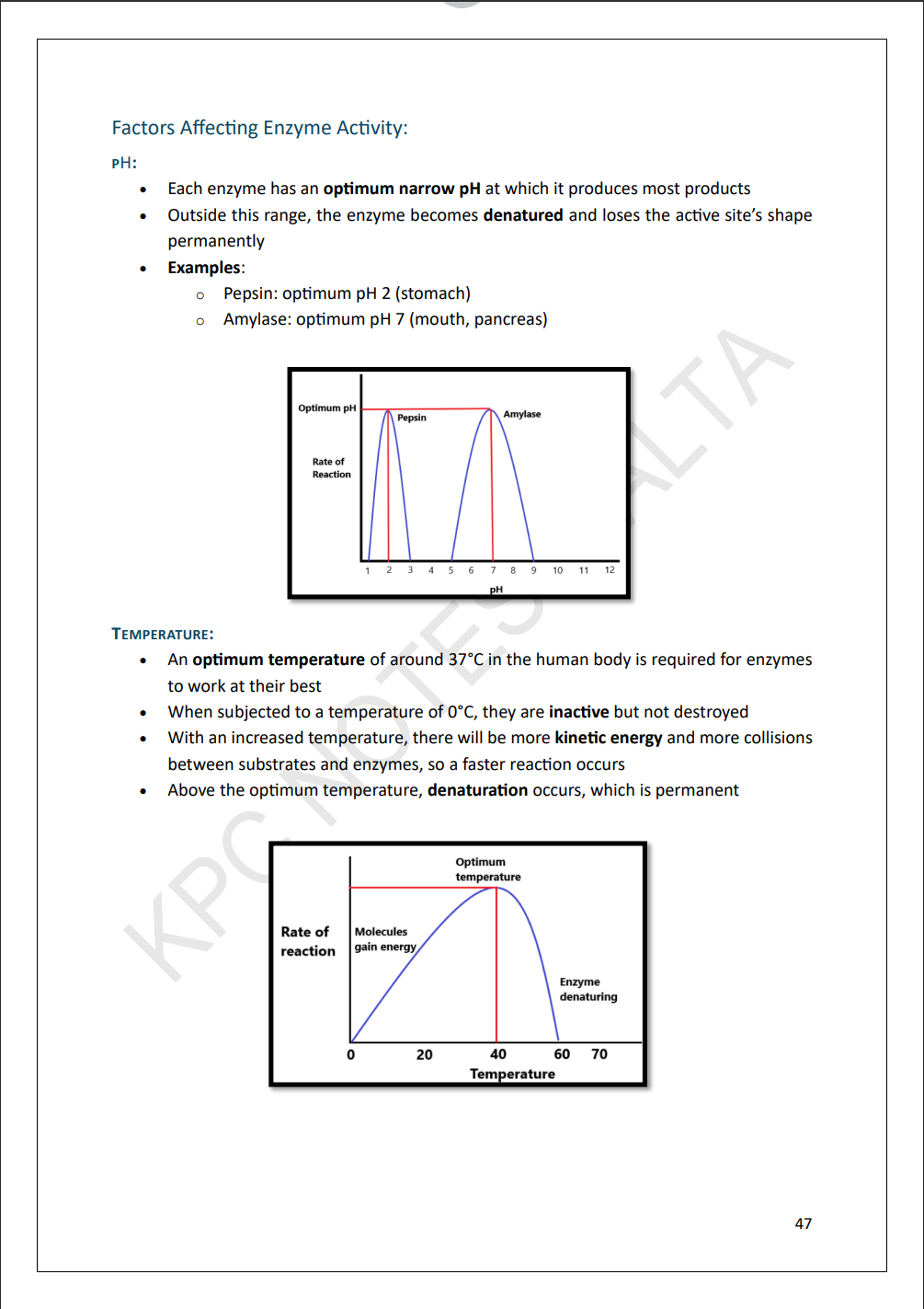 O-level Biology | ๐๐๐น๐น ๐ฆ๐๐น๐น๐ฎ๐ฏ๐๐ ๐ก๐ผ๐๐ฒ ๐ฃ๐ฎ๐ฐ๐ธ