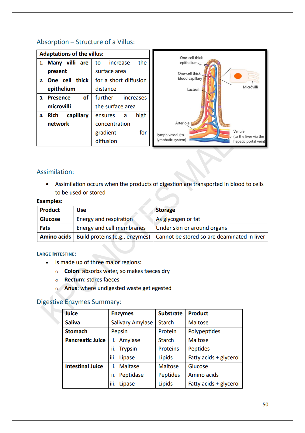 O-level Biology | ๐๐๐น๐น ๐ฆ๐๐น๐น๐ฎ๐ฏ๐๐ ๐ก๐ผ๐๐ฒ ๐ฃ๐ฎ๐ฐ๐ธ