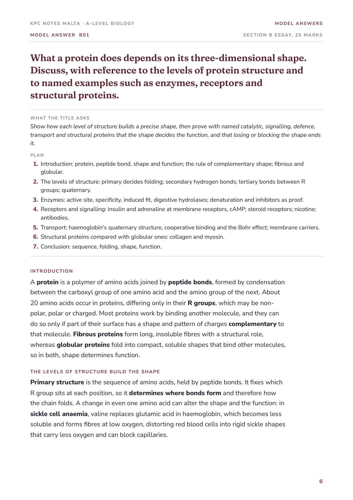 Model Answers: an essay opening with what the title asks and the plan