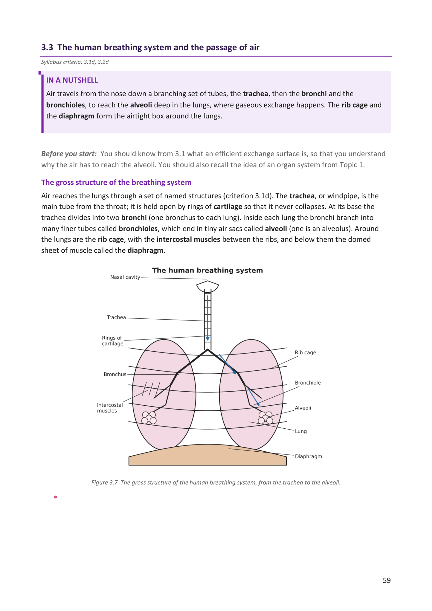 Year 9 | Biology Notes & Workbook