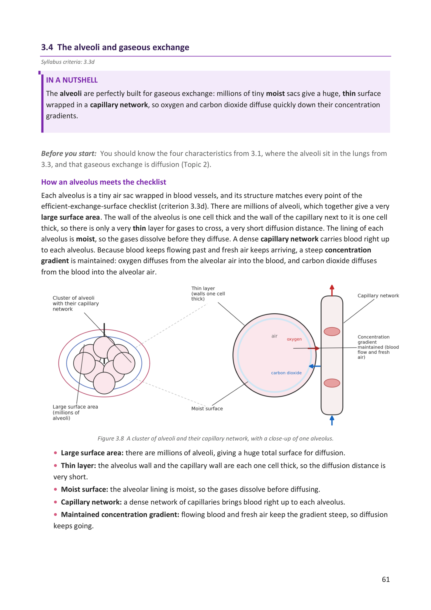 Year 9 | Biology Notes & Workbook