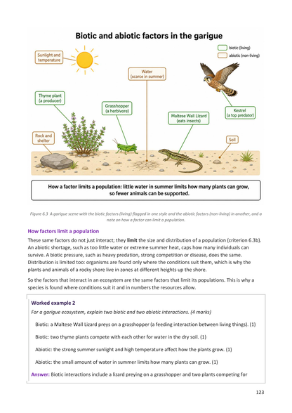 Year 9 | Biology Notes & Workbook