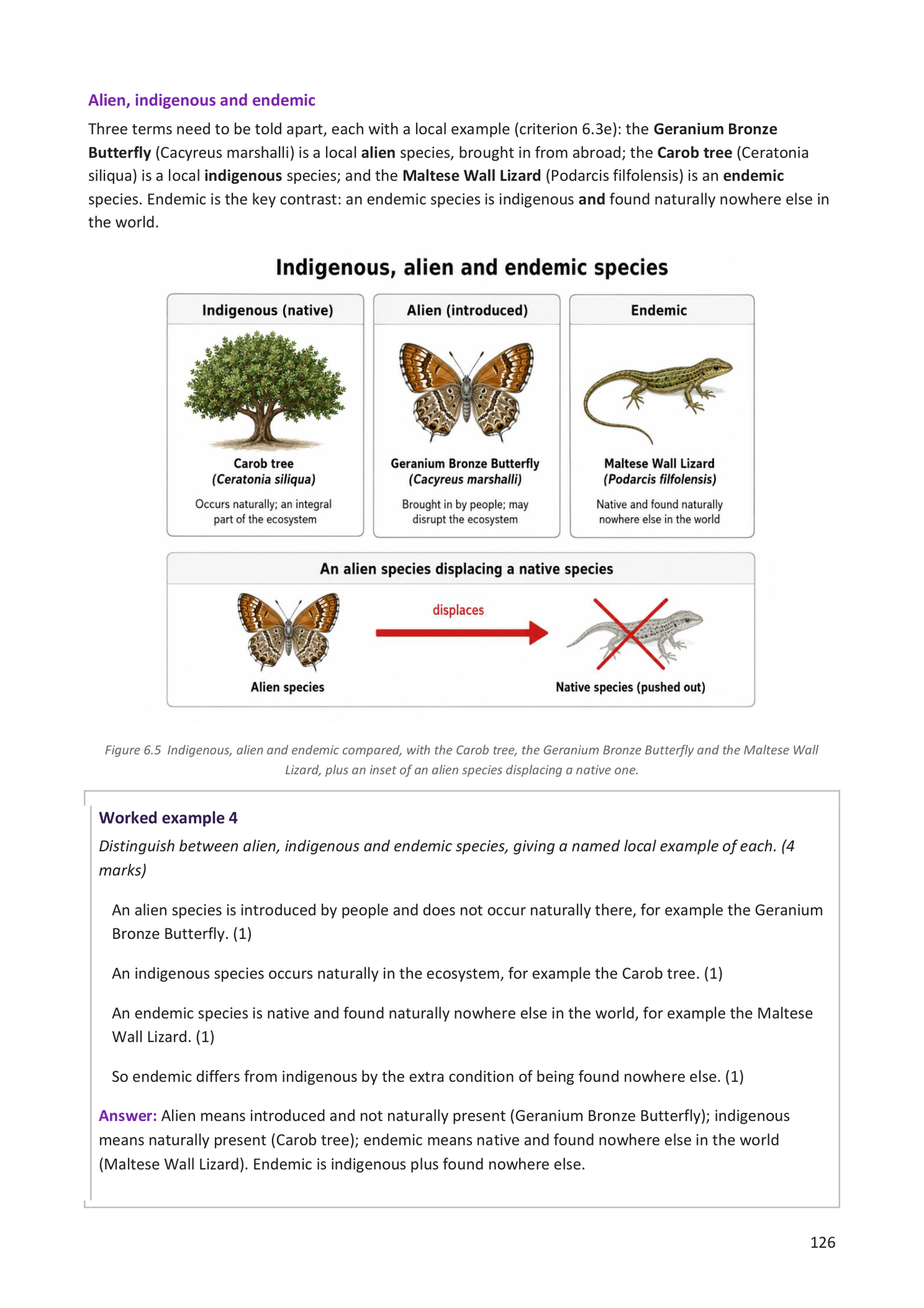 Year 9 | Biology Notes & Workbook