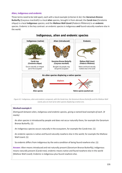Year 9 | Biology Notes & Workbook