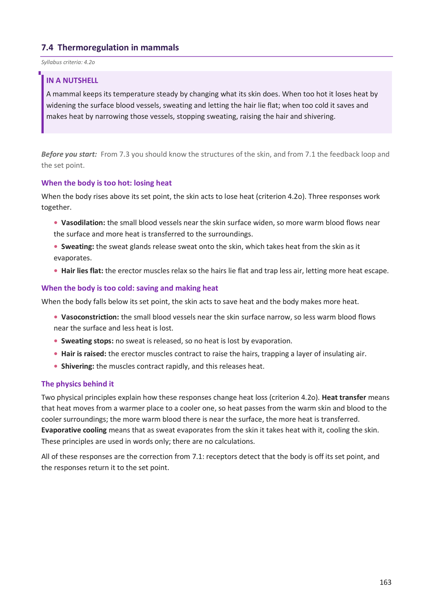 Year 9 | Biology Notes & Workbook