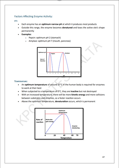 O-level Biology | 𝗙𝘂𝗹𝗹 𝗦𝘆𝗹𝗹𝗮𝗯𝘂𝘀 𝗡𝗼𝘁𝗲 𝗣𝗮𝗰𝗸