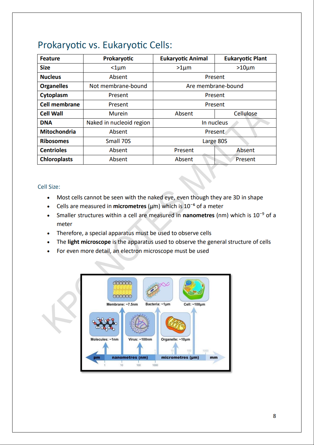 Biology Intermediate | Full Syllabus Note Pack