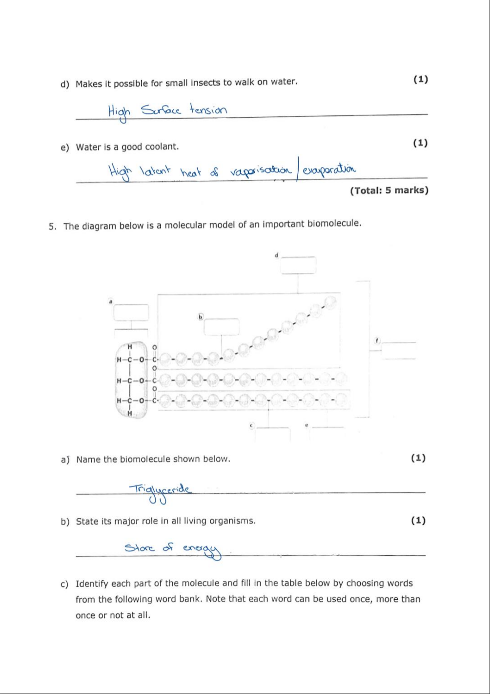 Biology Intermediate Model Answers/Workbook