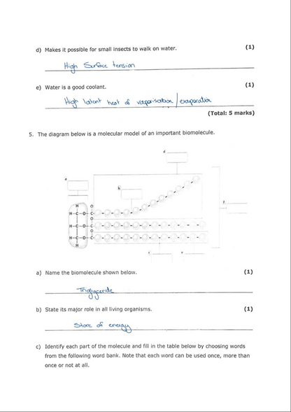 Biology Intermediate Model Answers/Workbook