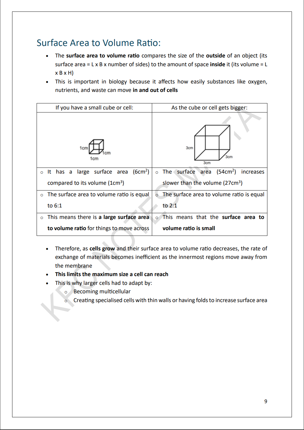 Biology Intermediate | Full Syllabus Note Pack