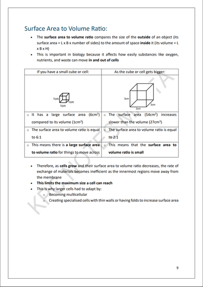 Biology Intermediate | Full Syllabus Note Pack