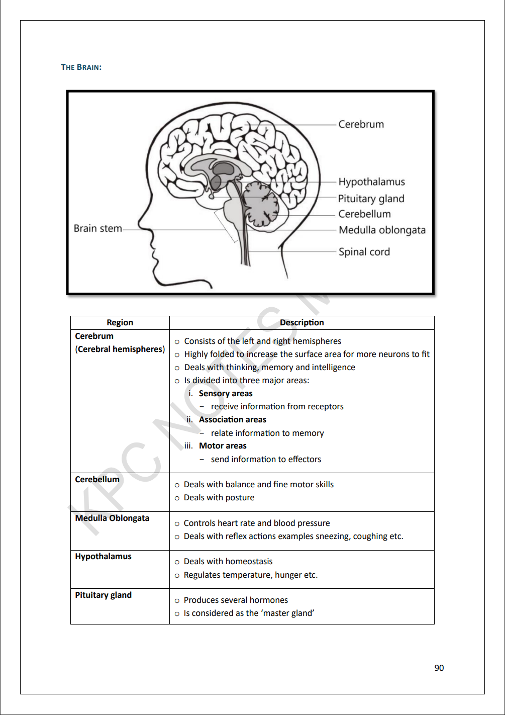 Biology Intermediate | Full Syllabus Note Pack