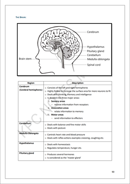 Biology Intermediate | Full Syllabus Note Pack