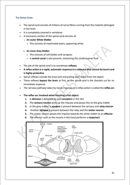 Biology Intermediate | Full Syllabus Note Pack