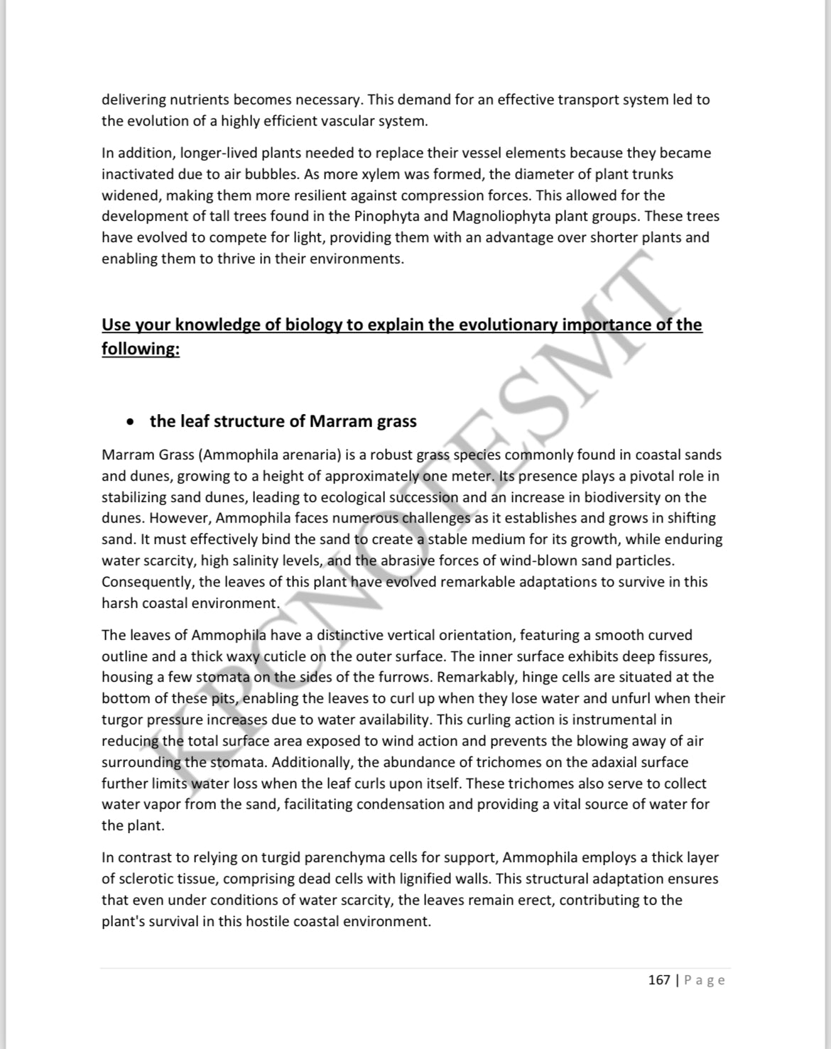 Biology A-Level Model essays