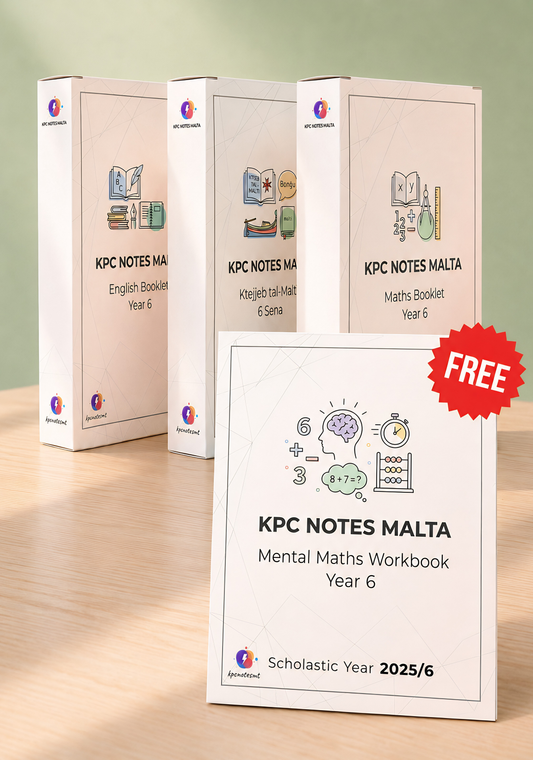 ⭐ Year 6 Complete Set | 900+ pgs | FREE MENTAL BOOKLET