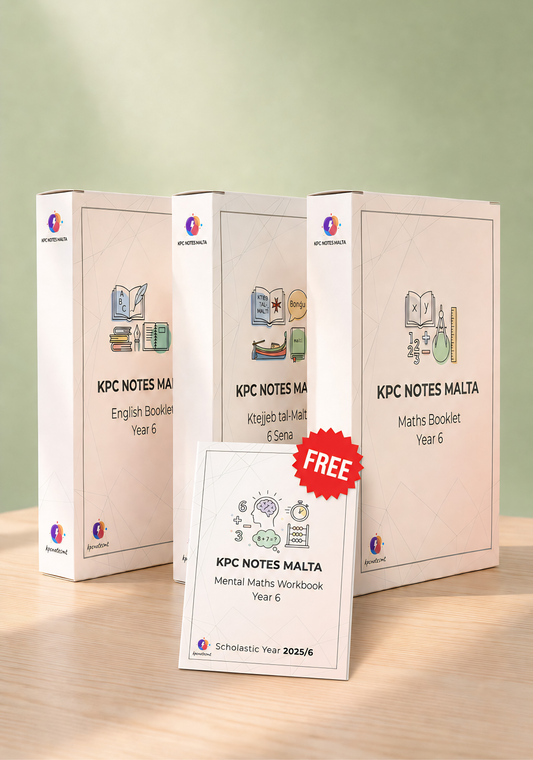 ⭐ Year 6 Complete Set | 900+ pgs | FREE MENTAL BOOKLET