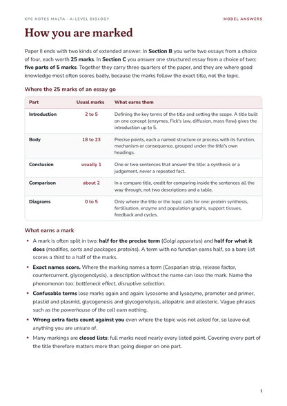 Model Answers: How you are marked, where the 25 marks of an essay go