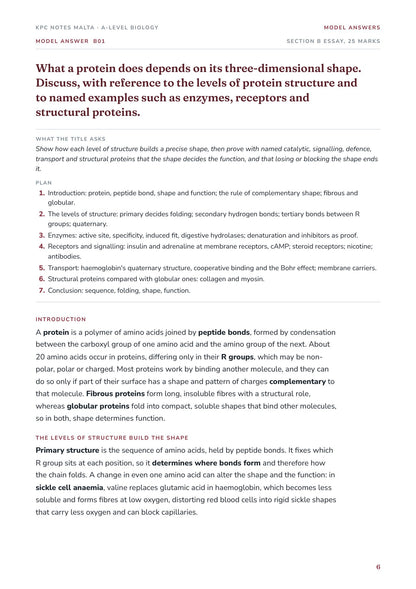 Model Answers: an essay opening with what the title asks and the plan
