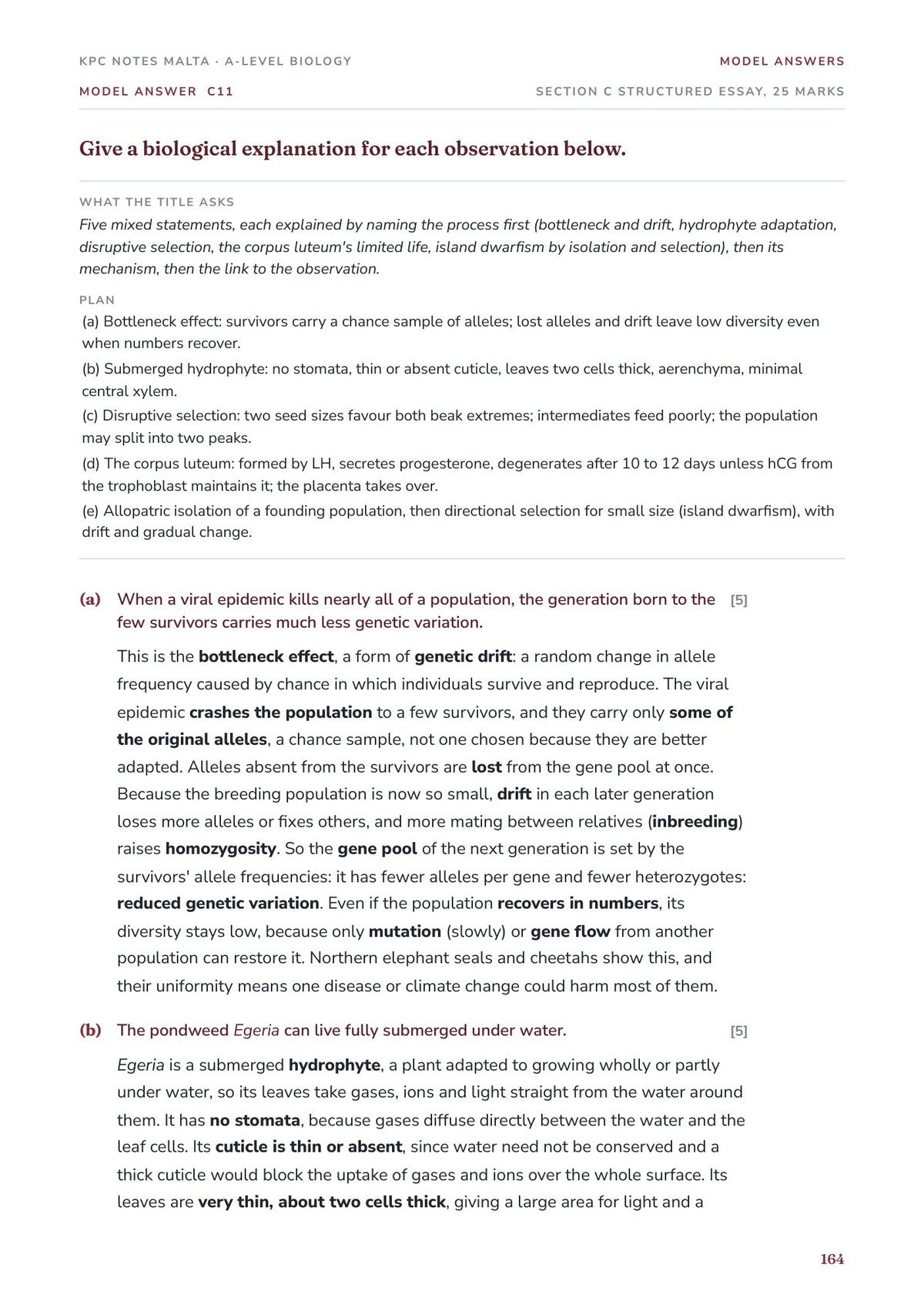 Model Answers: a Section C answer on bottlenecks, selection and island dwarfism