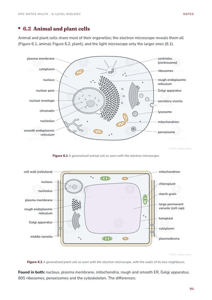 Note Pack: animal and plant cells, labelled electron micrograph drawings