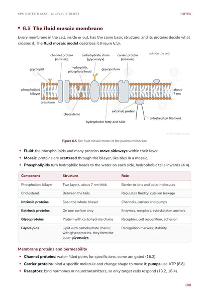 Note Pack: the fluid mosaic membrane, diagram and table of components