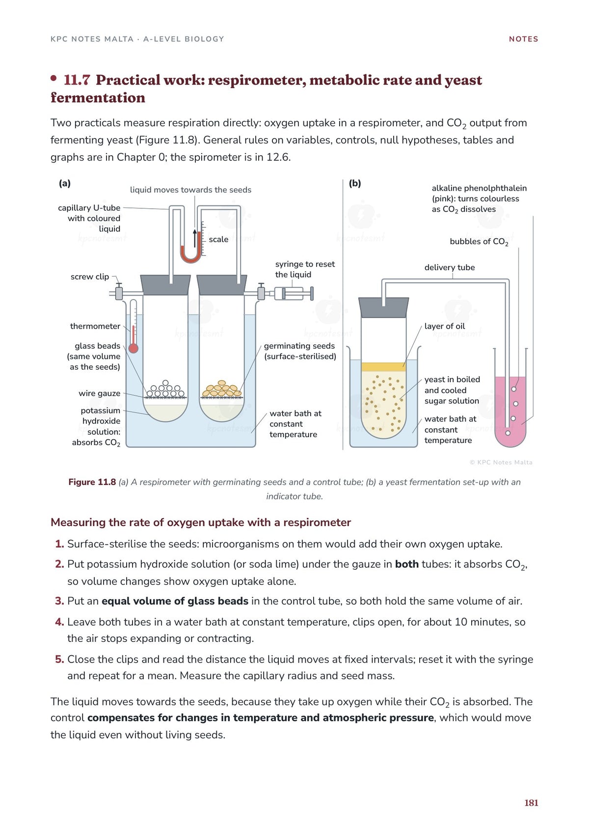 Note Pack: practical work, the respirometer and yeast fermentation