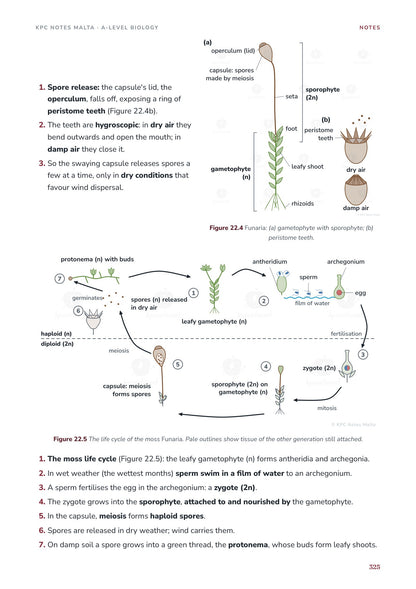 Note Pack: the moss life cycle