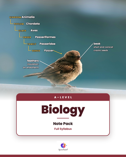 A-Level Biology Note Pack cover, full syllabus