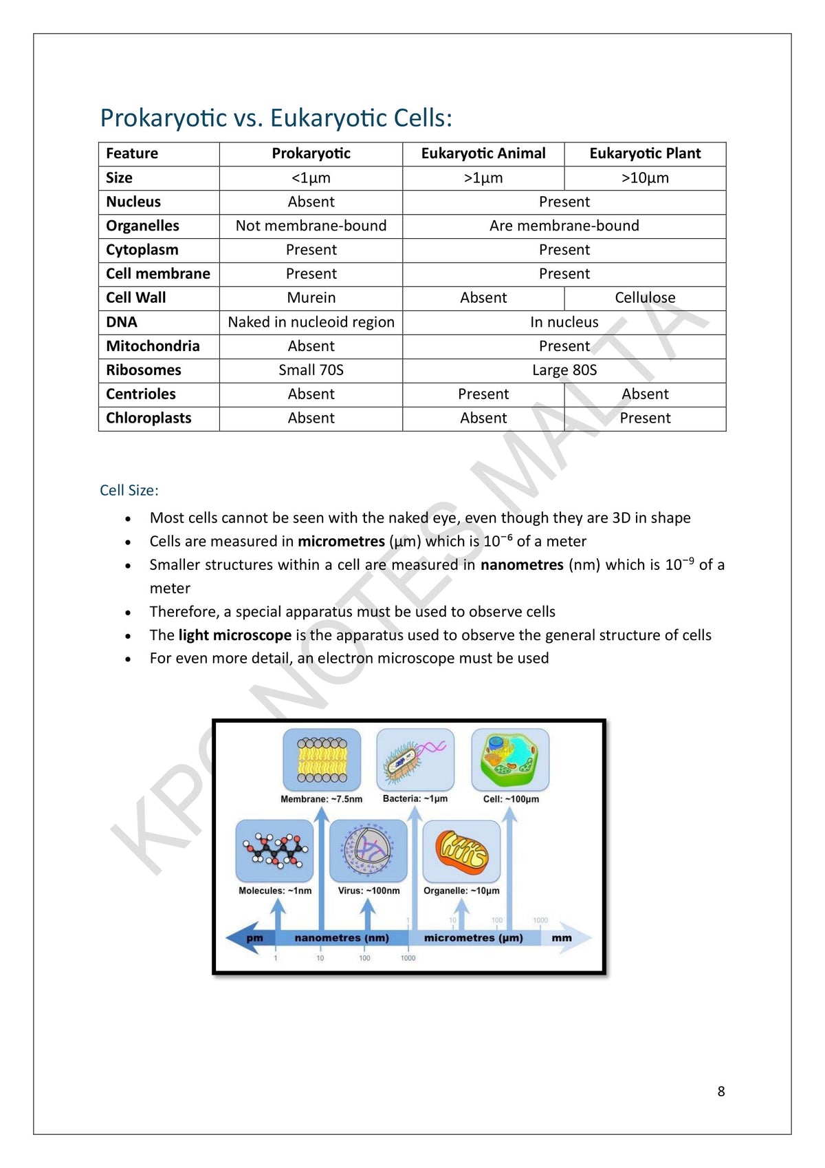 Cells and their Function: prokaryotic, animal and plant cells compared (page 8)