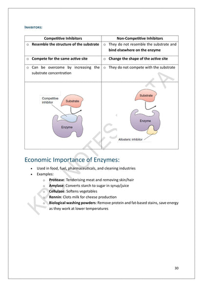 Enzymes: competitive and non-competitive inhibitors (page 30)
