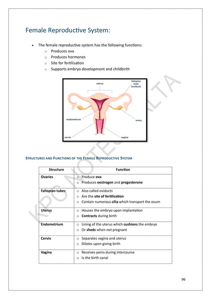 Human Reproduction: the female reproductive system (page 96)