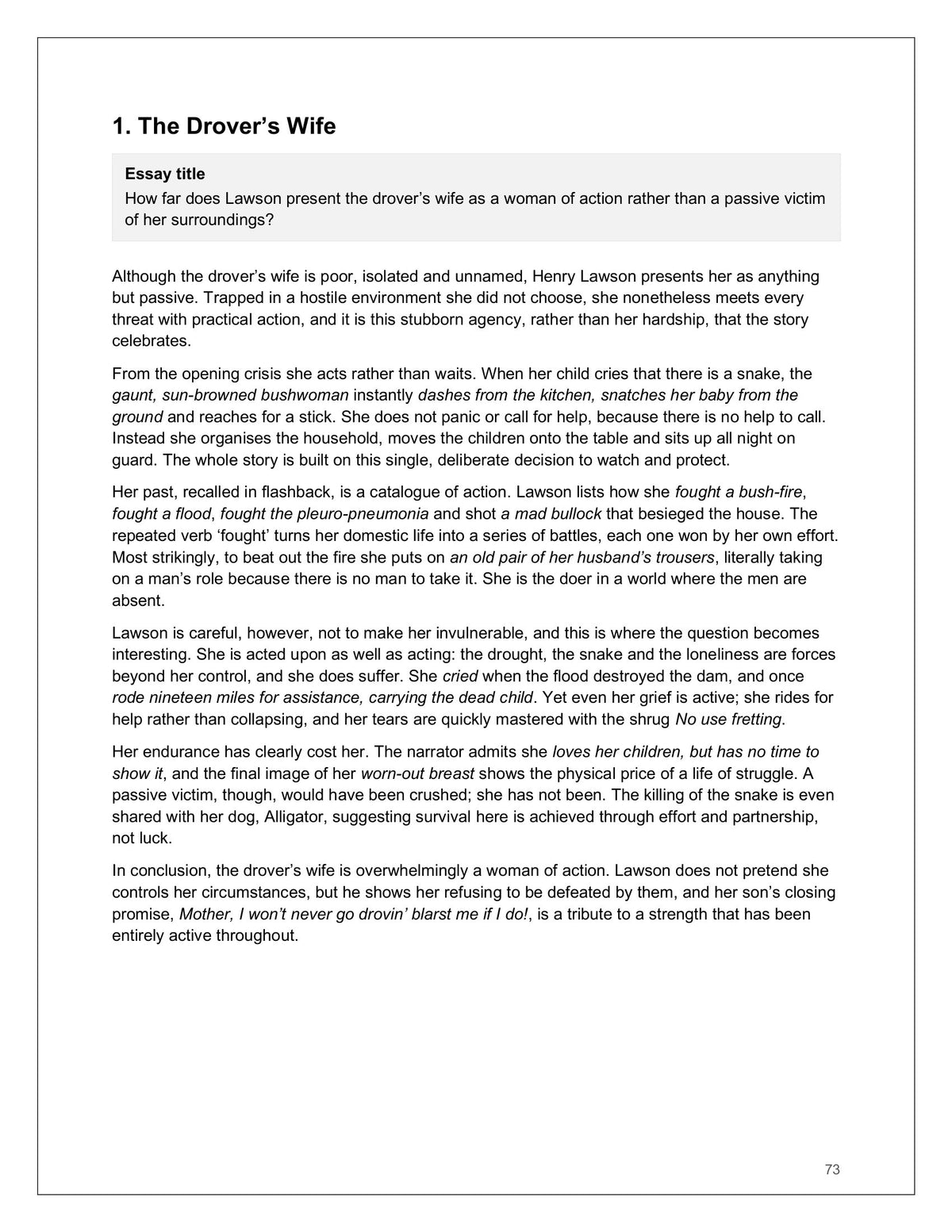 Literature: model essay on The Drover's Wife (page 73)