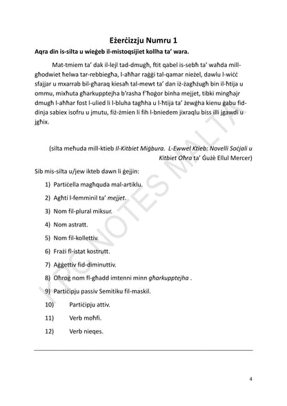 Mistoqsijiet: eżerċizzju 1, analiżi grammatikali ta’ silta (paġna 4)