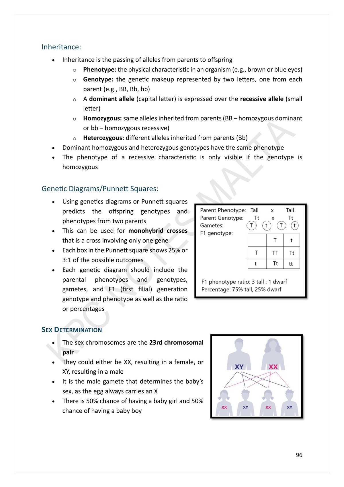 Note Pack: inheritance, a worked Punnett square and sex determination (page 96)