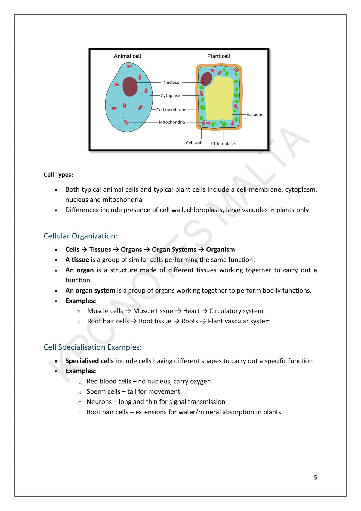 Year 9: animal and plant cells compared, and cells to tissues to organs to systems (page 5)