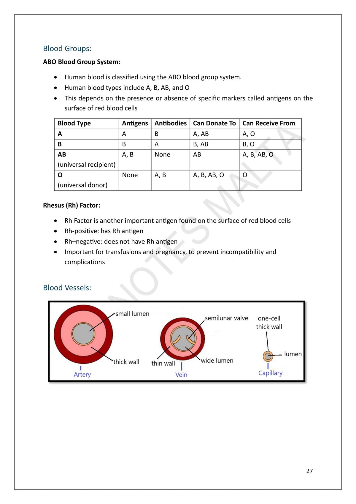 Year 9: the ABO blood group system, the rhesus factor and the three blood vessels (page 27)