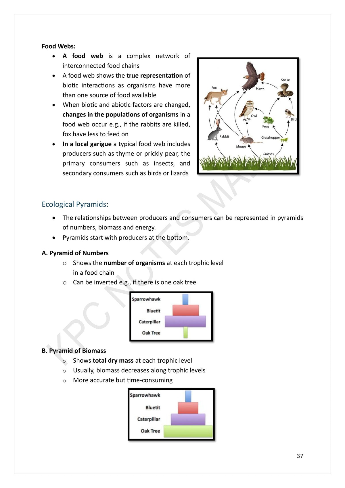 Year 9: food webs, including a local garigue example, and ecological pyramids (page 37)