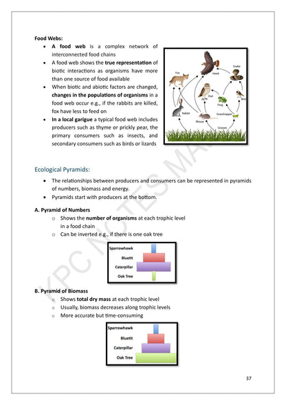 Year 9: food webs, including a local garigue example, and ecological pyramids (page 37)