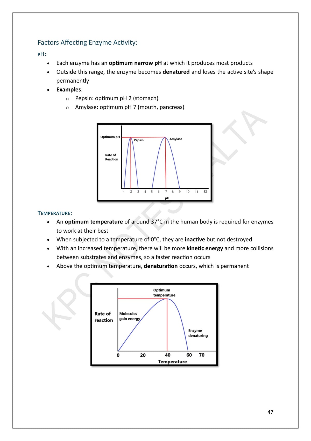 Year 10: how pH and temperature affect enzyme activity, with both graphs (page 47)