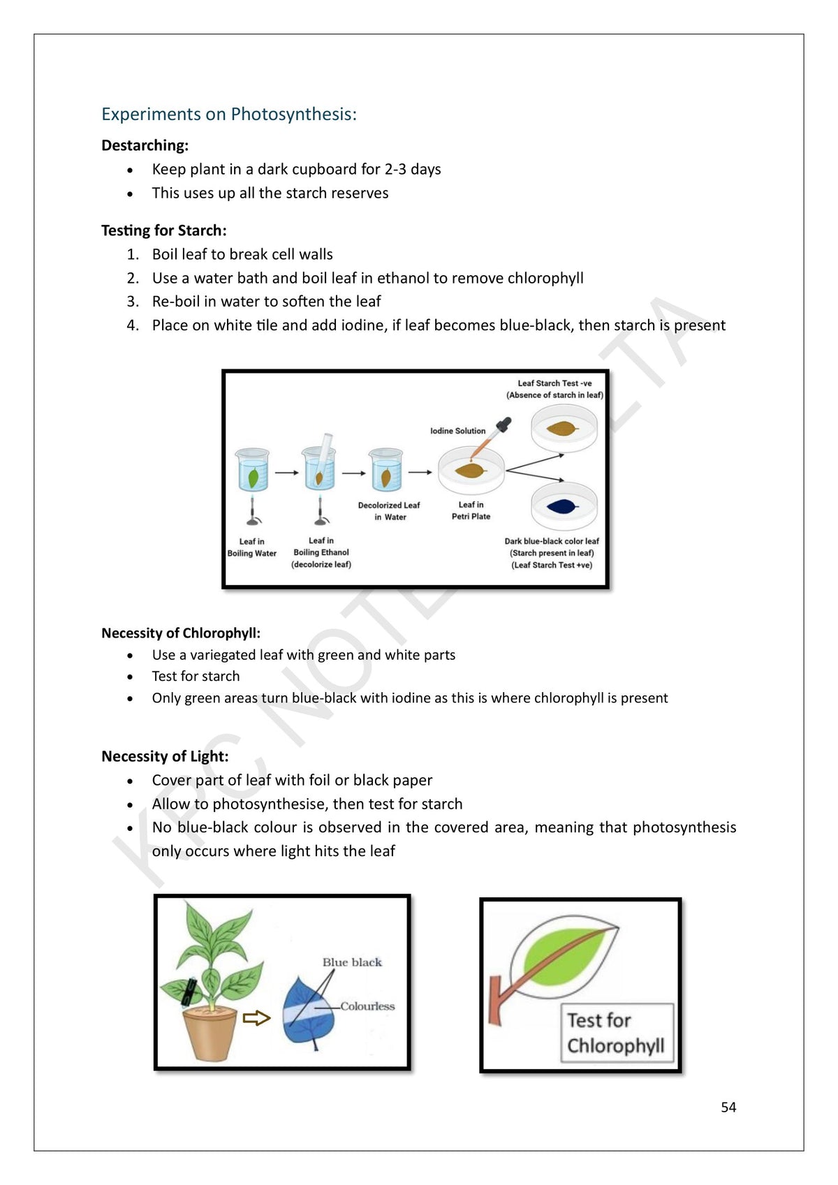Year 10: the photosynthesis experiments, from destarching to the iodine starch test (page 54)