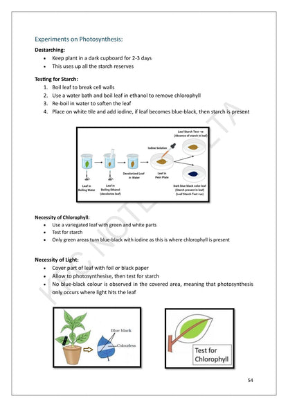 Year 10: the photosynthesis experiments, from destarching to the iodine starch test (page 54)