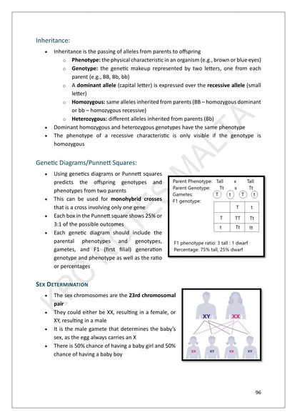 Year 11: inheritance, a worked Punnett square and sex determination (page 96)