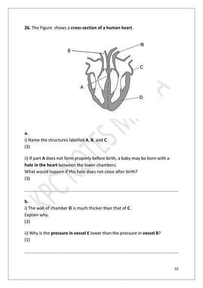 Questions: Section C, labelling a cross-section of the human heart (page 55)