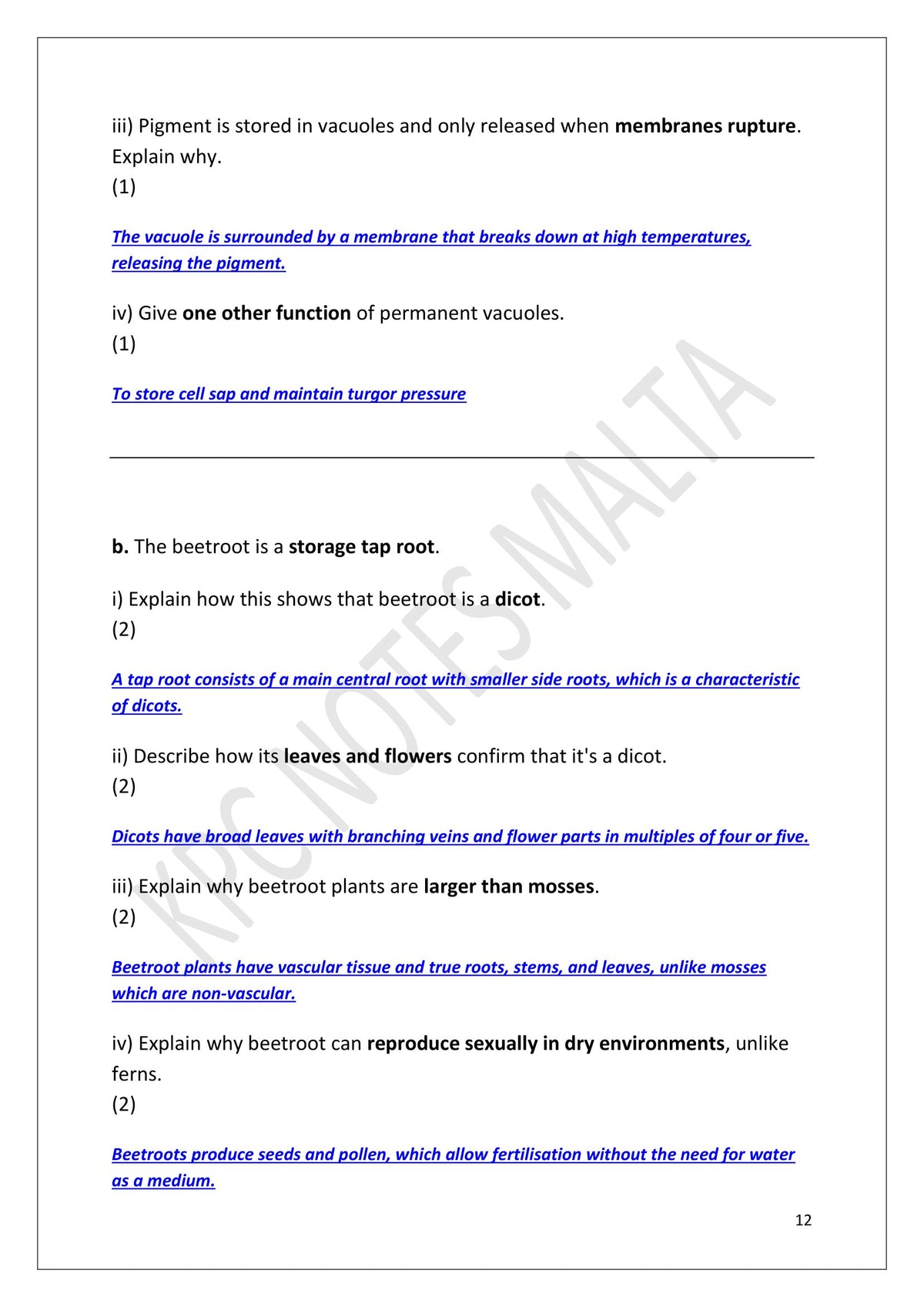 Answers: model answers written out in full, marked in blue under each question (page 12)