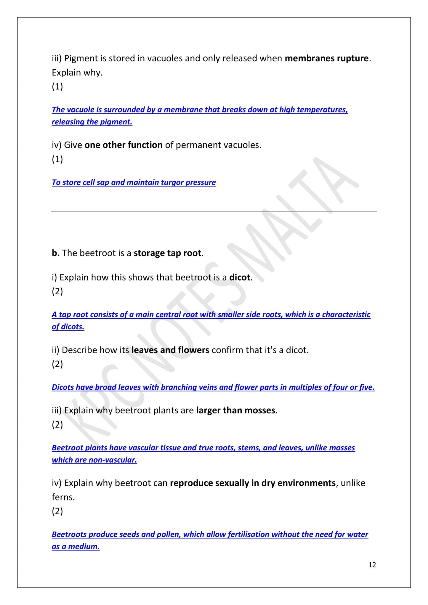 Answers: model answers written out in full, marked in blue under each question (page 12)