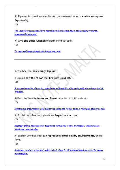 Answers: model answers written out in full, marked in blue under each question (page 12)