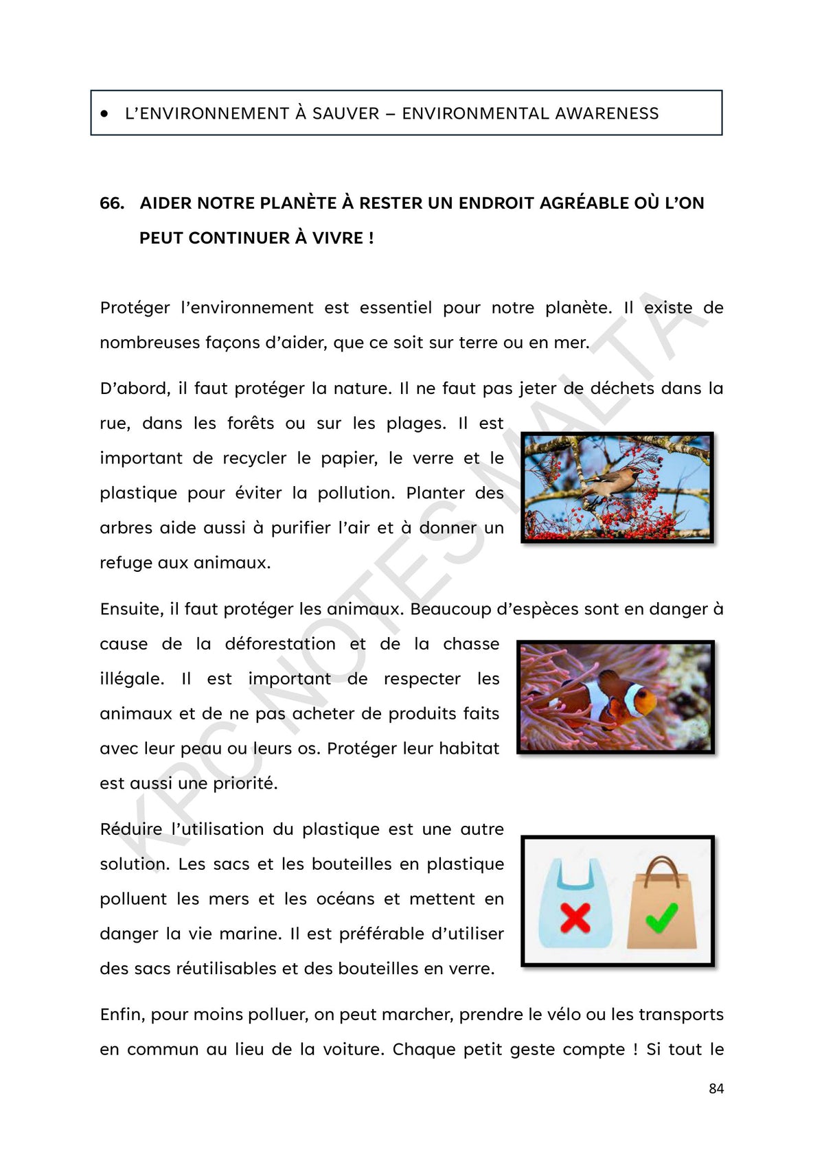 Environmental Awareness: L'environnement a sauver, protecting the planet (page 84)