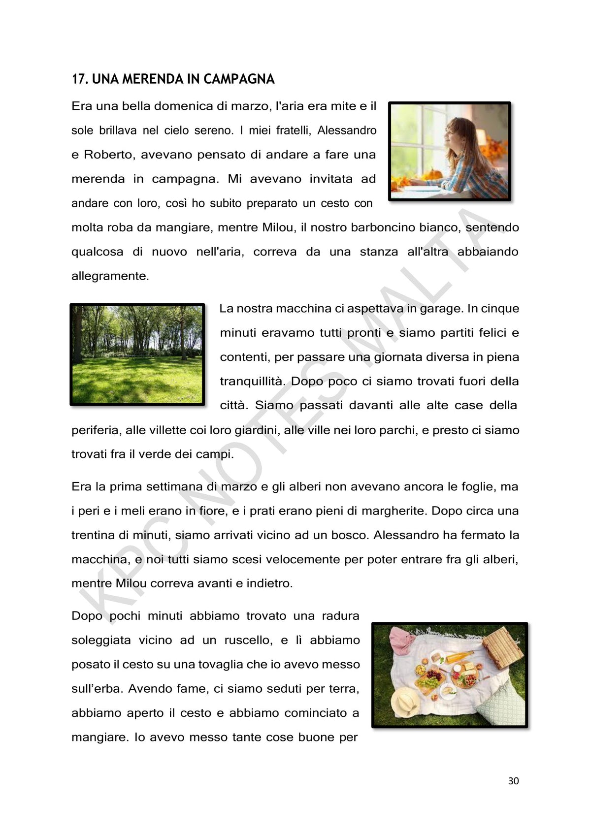 Leisure and Hobbies: Una merenda in campagna, a narrative in the past tenses (page 30)