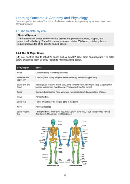 Anatomy and Physiology: the skeletal system and the 22 named bones (page 59)